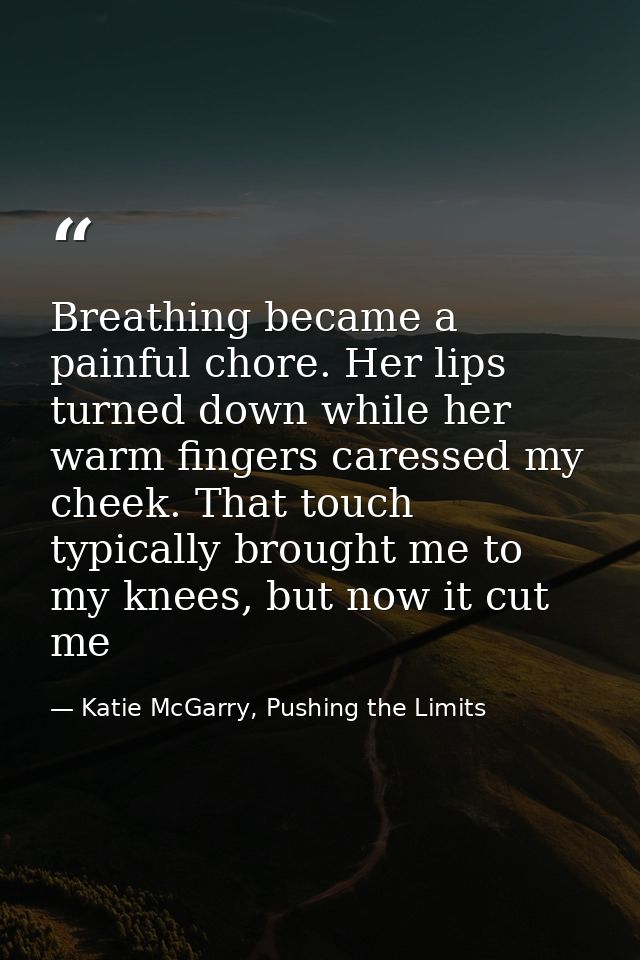 Breathing became a painful chore. Her lips turned down while her warm fingers caressed my cheek. That touch typically br — Katie McGarry, Pushing the Limits
