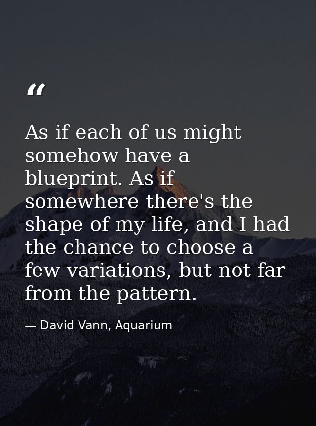 As if each of us might somehow have a blueprint. As if somewhere there's the shape of my life, and I had the chance to c — David Vann, Aquarium