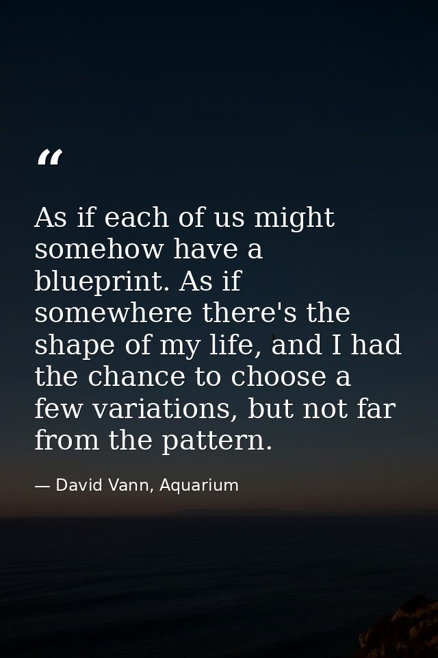 As if each of us might somehow have a blueprint. As if somewhere there's the shape of my life, and I had the chance to c — David Vann, Aquarium