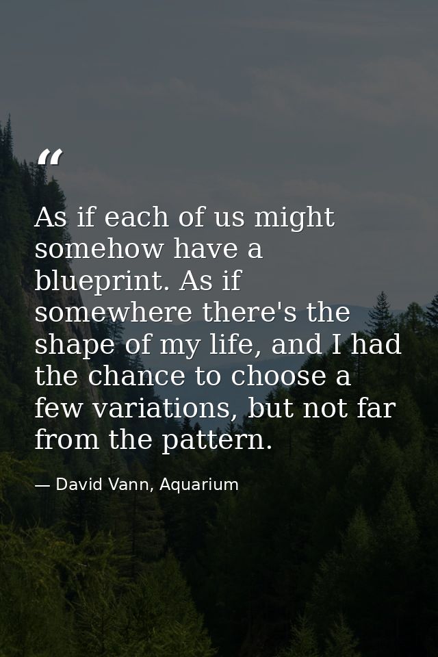As if each of us might somehow have a blueprint. As if somewhere there's the shape of my life, and I had the chance to c — David Vann, Aquarium