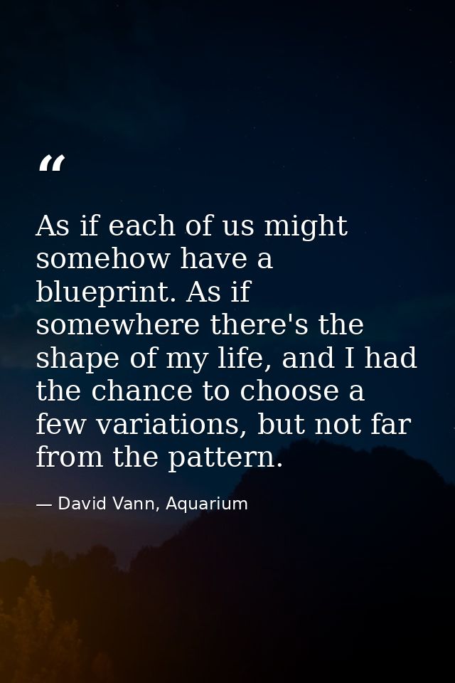 As if each of us might somehow have a blueprint. As if somewhere there's the shape of my life, and I had the chance to c — David Vann, Aquarium