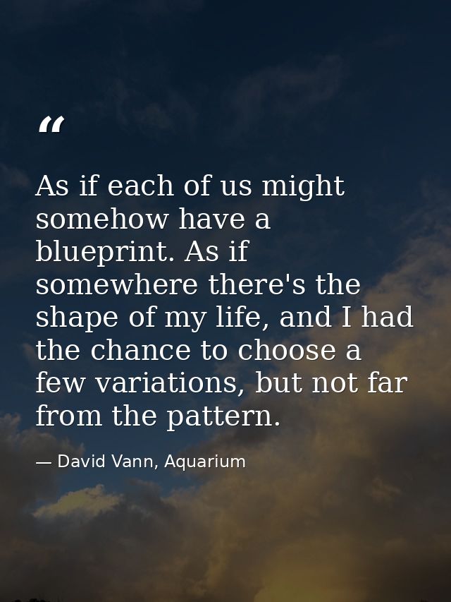 As if each of us might somehow have a blueprint. As if somewhere there's the shape of my life, and I had the chance to c — David Vann, Aquarium