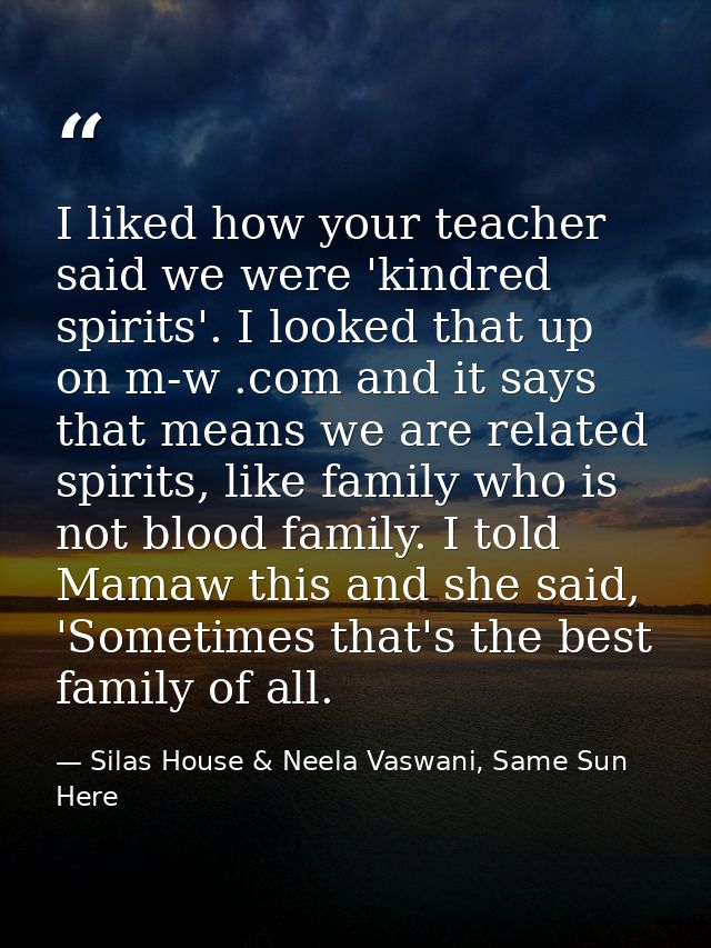 I liked how your teacher said we were 'kindred spirits'. I looked that up on m-w .com and it says that means we are rela — Silas House & Neela Vaswani, Same Sun Here