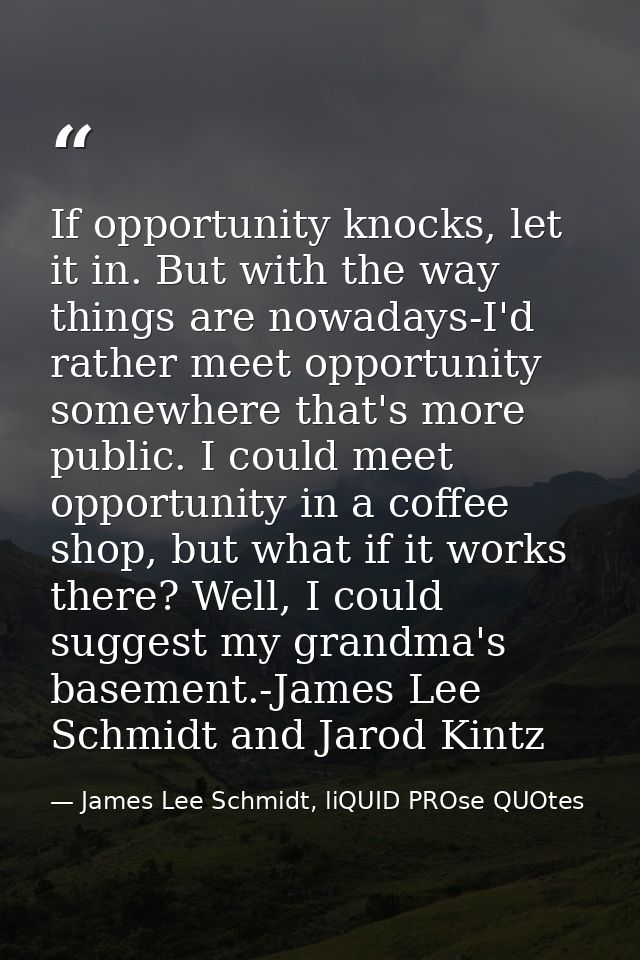 If opportunity knocks, let it in. But with the way things are nowadays-I'd rather meet opportunity somewhere that's more — James Lee Schmidt, liQUID PROse QUOtes