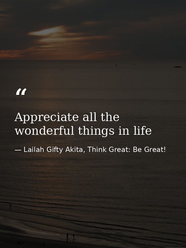 Appreciate all the wonderful things in life — Lailah Gifty Akita, Think Great: Be Great!