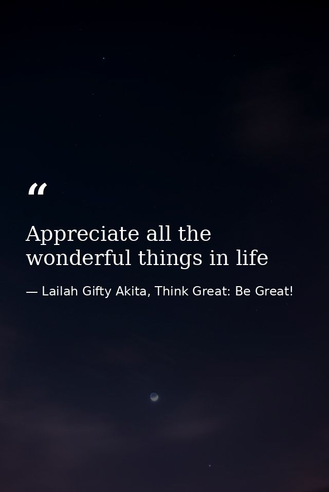 Appreciate all the wonderful things in life — Lailah Gifty Akita, Think Great: Be Great!