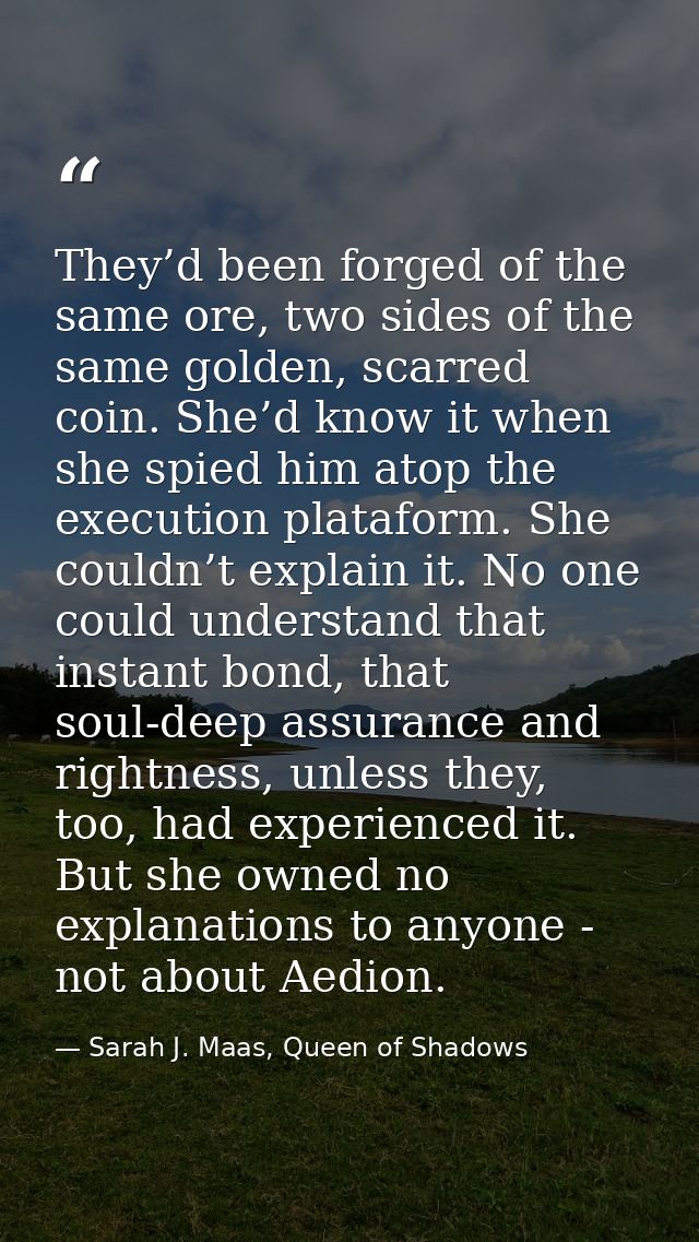 They’d been forged of the same ore, two sides of the same golden, scarred coin. She’d know it when she spied him atop th — Sarah J. Maas, Queen of Shadows