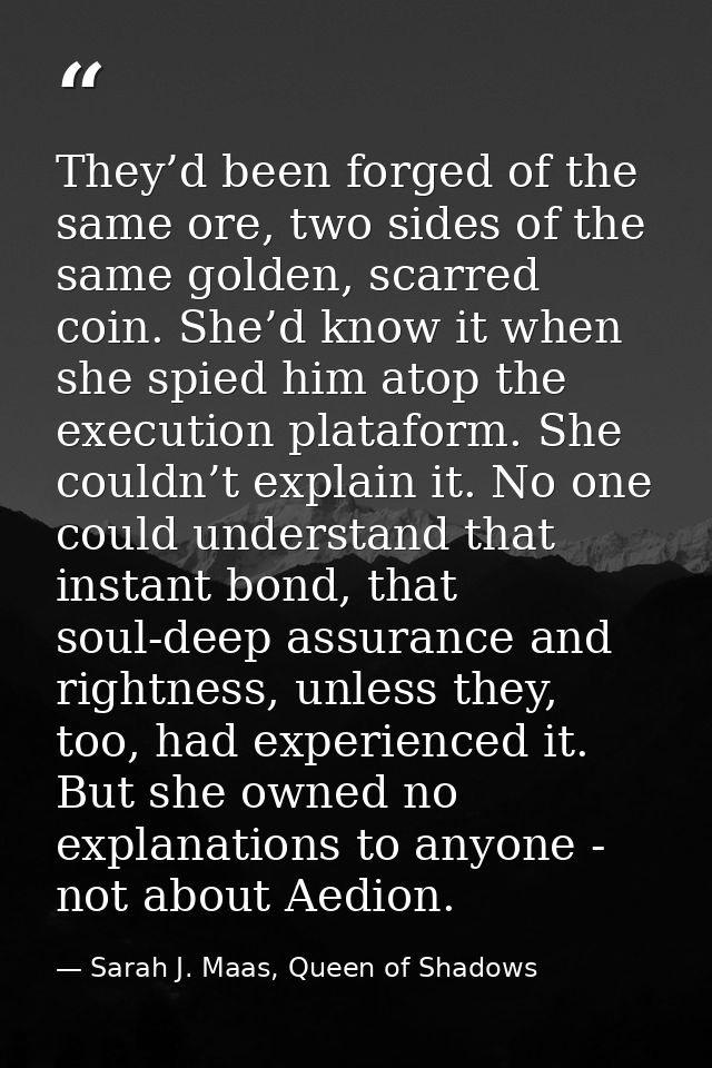 They’d been forged of the same ore, two sides of the same golden, scarred coin. She’d know it when she spied him atop th — Sarah J. Maas, Queen of Shadows