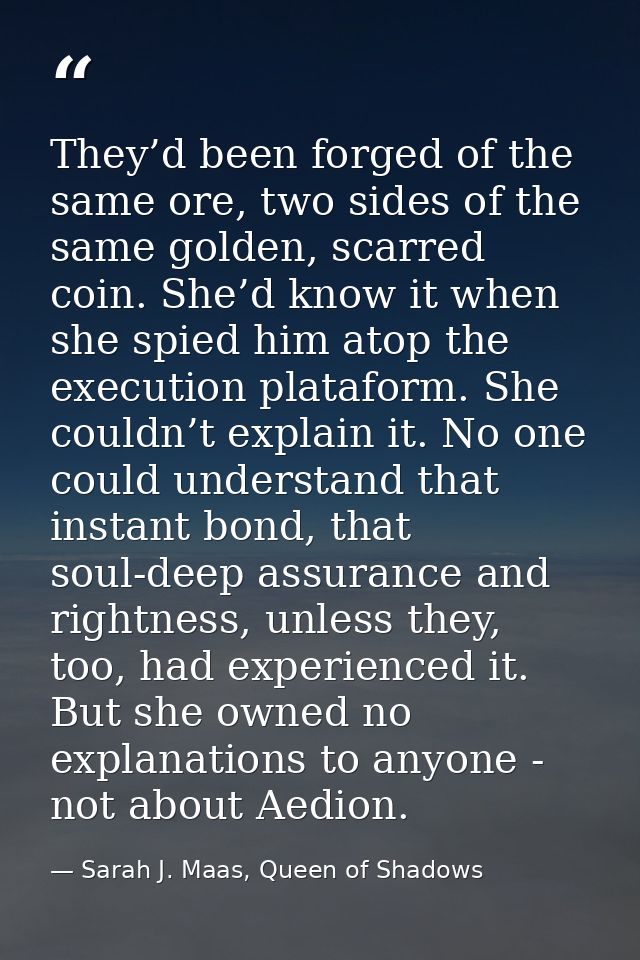 They’d been forged of the same ore, two sides of the same golden, scarred coin. She’d know it when she spied him atop th — Sarah J. Maas, Queen of Shadows