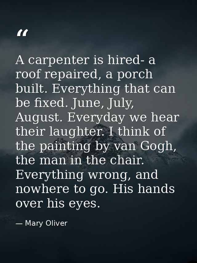 A carpenter is hired- a roof repaired, a porch built. Everything that can be fixed. June, July, August. Everyday we hear — Mary Oliver