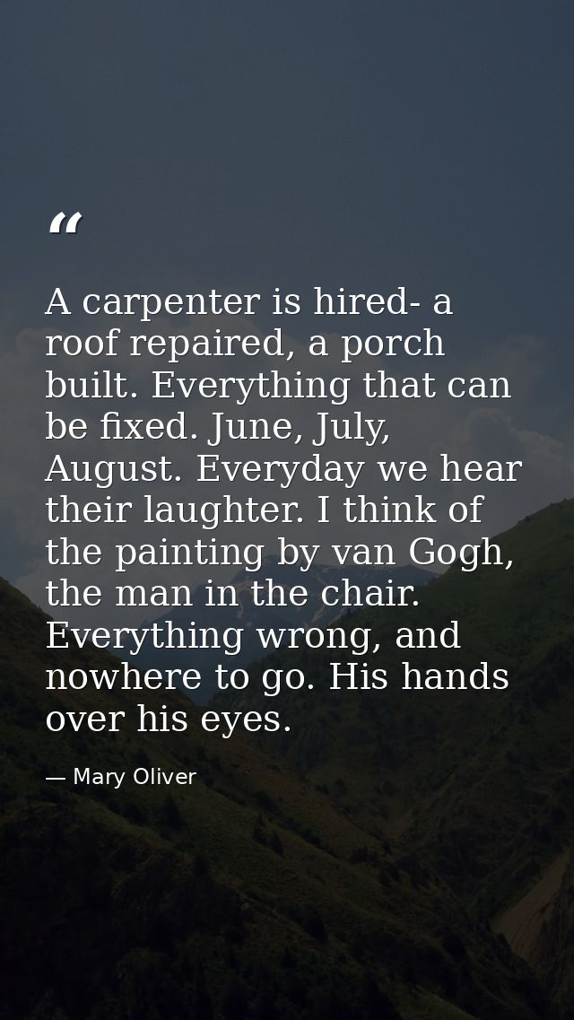 A carpenter is hired- a roof repaired, a porch built. Everything that can be fixed. June, July, August. Everyday we hear — Mary Oliver