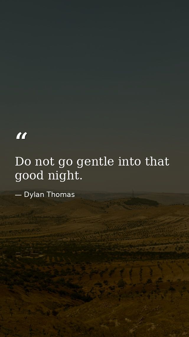 Do not go gentle into that good night. — Dylan Thomas