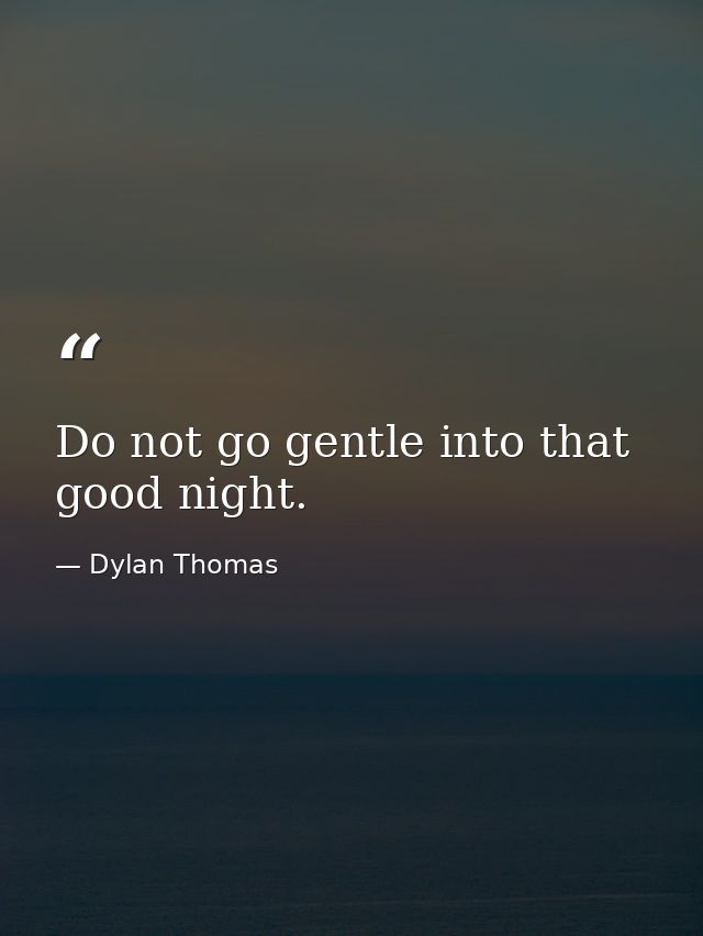 Do not go gentle into that good night. — Dylan Thomas