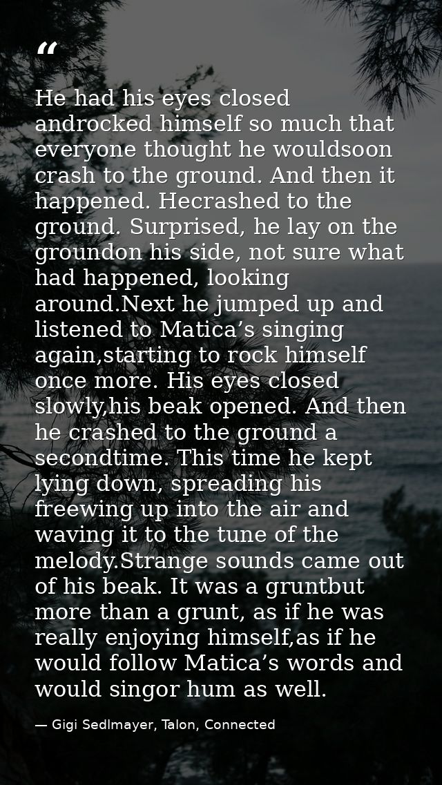 He had his eyes closed androcked himself so much that everyone thought he wouldsoon crash to the ground. And then it hap — Gigi Sedlmayer, Talon, Connected