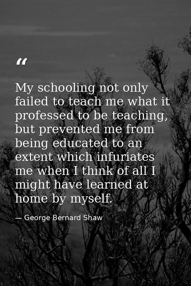 My schooling not only failed to teach me what it professed to be teaching, but prevented me from being educated to an ex — George Bernard Shaw