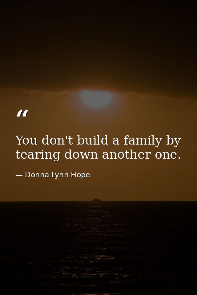 You don't build a family by tearing down another one. — Donna Lynn Hope
