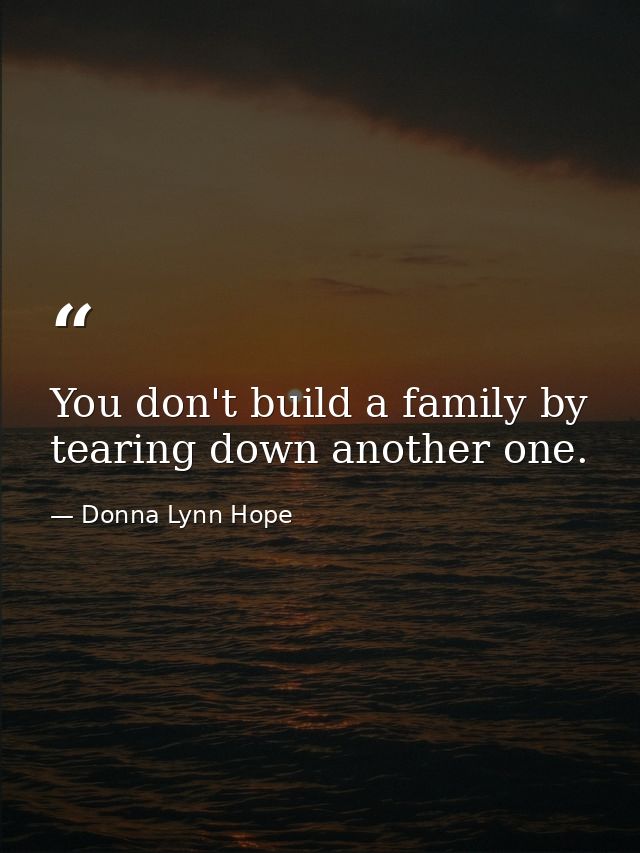 You don't build a family by tearing down another one. — Donna Lynn Hope
