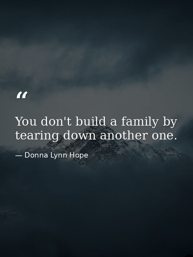 You don't build a family by tearing down another one. — Donna Lynn Hope