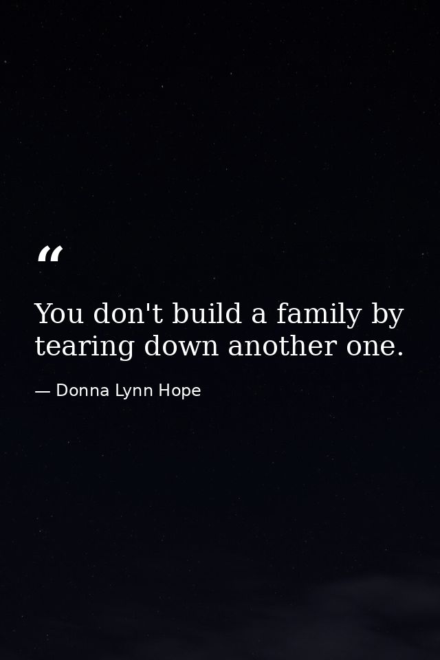 You don't build a family by tearing down another one. — Donna Lynn Hope