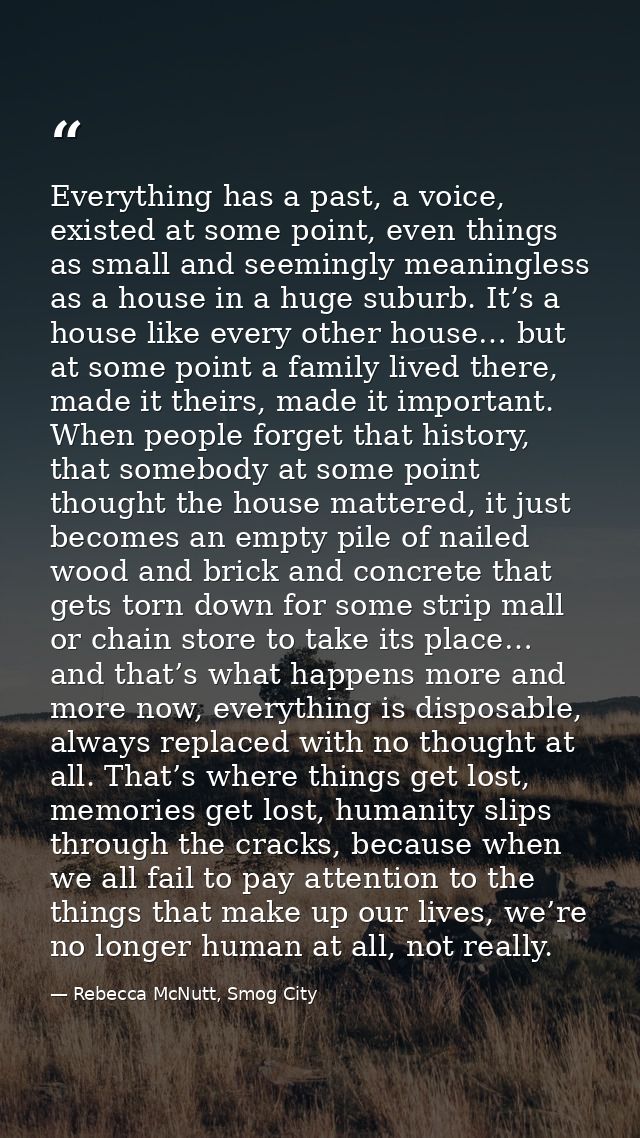 Everything has a past, a voice, existed at some point, even things as small and seemingly meaningless as a house in a hu — Rebecca McNutt, Smog City