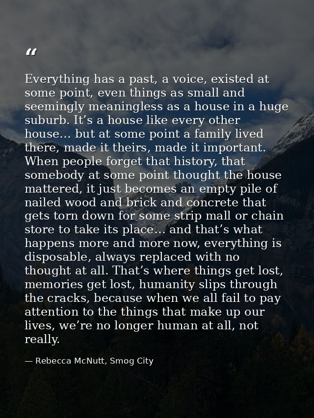 Everything has a past, a voice, existed at some point, even things as small and seemingly meaningless as a house in a hu — Rebecca McNutt, Smog City