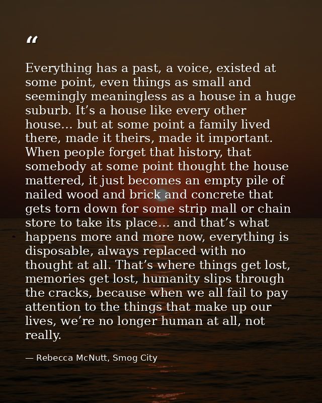 Everything has a past, a voice, existed at some point, even things as small and seemingly meaningless as a house in a hu — Rebecca McNutt, Smog City