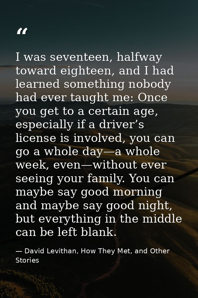 I was seventeen, halfway toward eighteen, and I had learned something nobody had ever taught me: Once you get to a certa — David Levithan, How They Met, and Other Stories