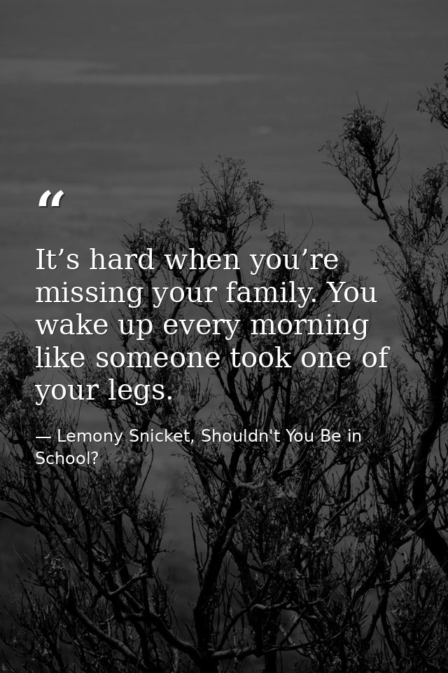 It’s hard when you’re missing your family. You wake up every morning like someone took one of your legs. — Lemony Snicket, Shouldn't You Be in School?