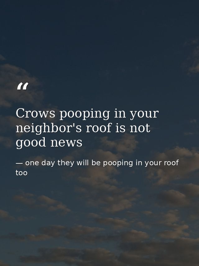 Crows pooping in your neighbor's roof is not good news — one day they will be pooping in your roof too