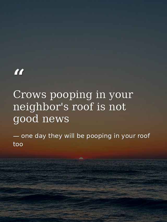 Crows pooping in your neighbor's roof is not good news — one day they will be pooping in your roof too