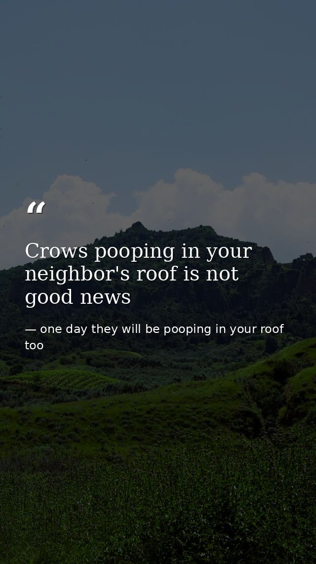 Crows pooping in your neighbor's roof is not good news — one day they will be pooping in your roof too
