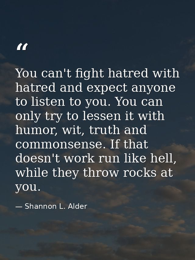 You can't fight hatred with hatred and expect anyone to listen to you. You can only try to lessen it with humor, wit, tr — Shannon L. Alder