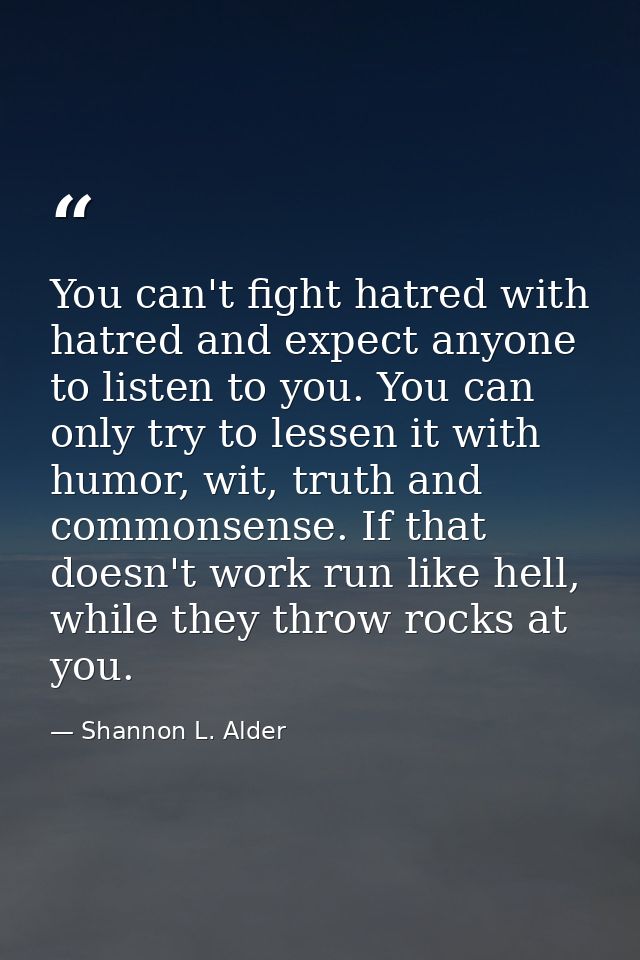 You can't fight hatred with hatred and expect anyone to listen to you. You can only try to lessen it with humor, wit, tr — Shannon L. Alder