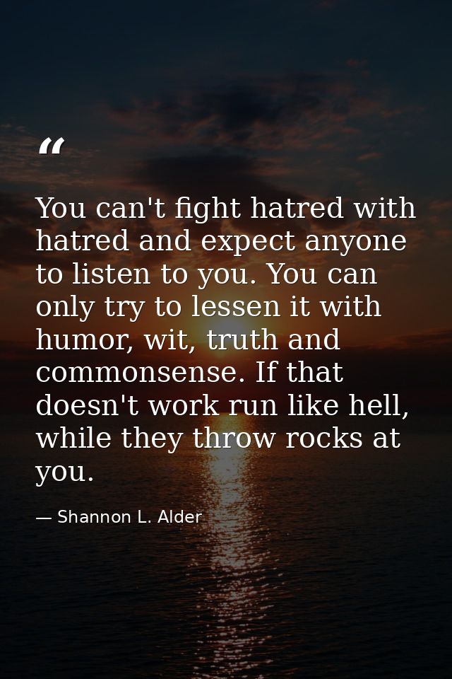 You can't fight hatred with hatred and expect anyone to listen to you. You can only try to lessen it with humor, wit, tr — Shannon L. Alder