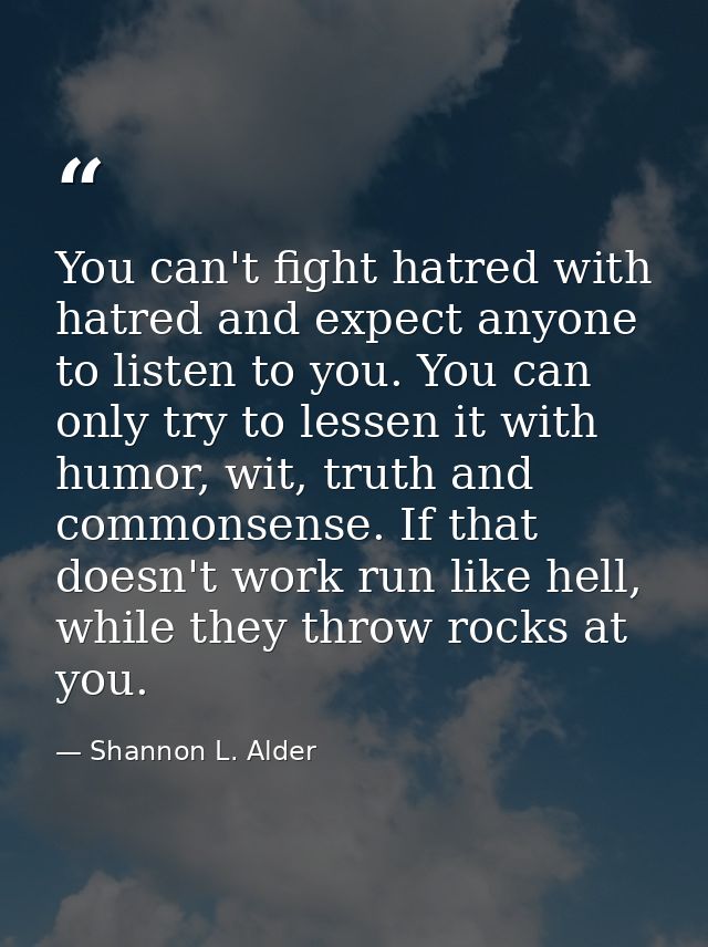 You can't fight hatred with hatred and expect anyone to listen to you. You can only try to lessen it with humor, wit, tr — Shannon L. Alder