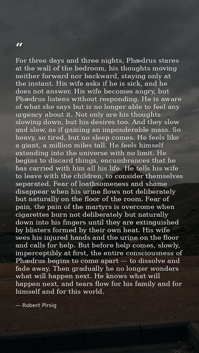 For three days and three nights, Phædrus stares at the wall of the bedroom, his thoughts moving neither forward nor back — Robert Pirsig