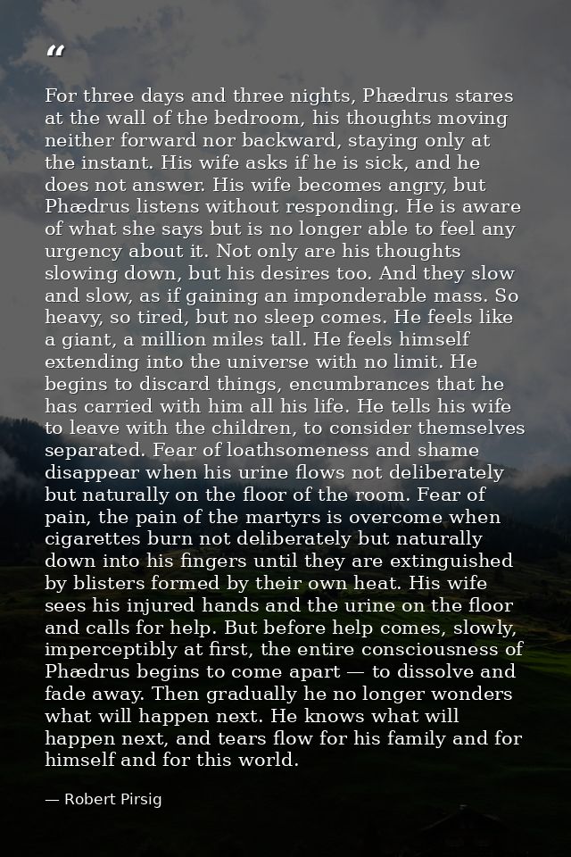 For three days and three nights, Phædrus stares at the wall of the bedroom, his thoughts moving neither forward nor back — Robert Pirsig