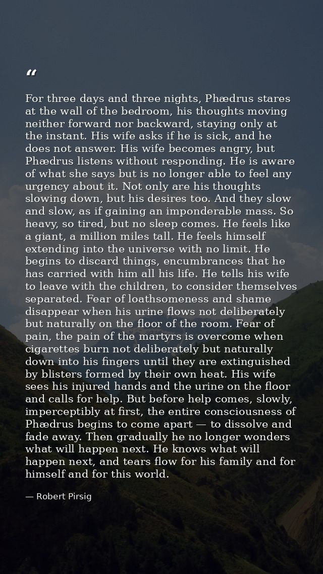 For three days and three nights, Phædrus stares at the wall of the bedroom, his thoughts moving neither forward nor back — Robert Pirsig