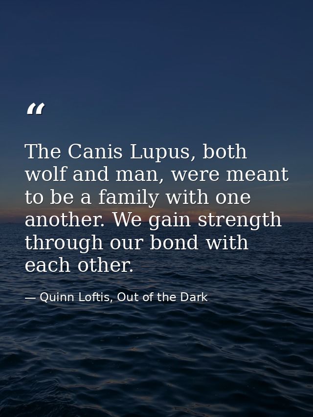The Canis Lupus, both wolf and man, were meant to be a family with one another. We gain strength through our bond with e — Quinn Loftis, Out of the Dark
