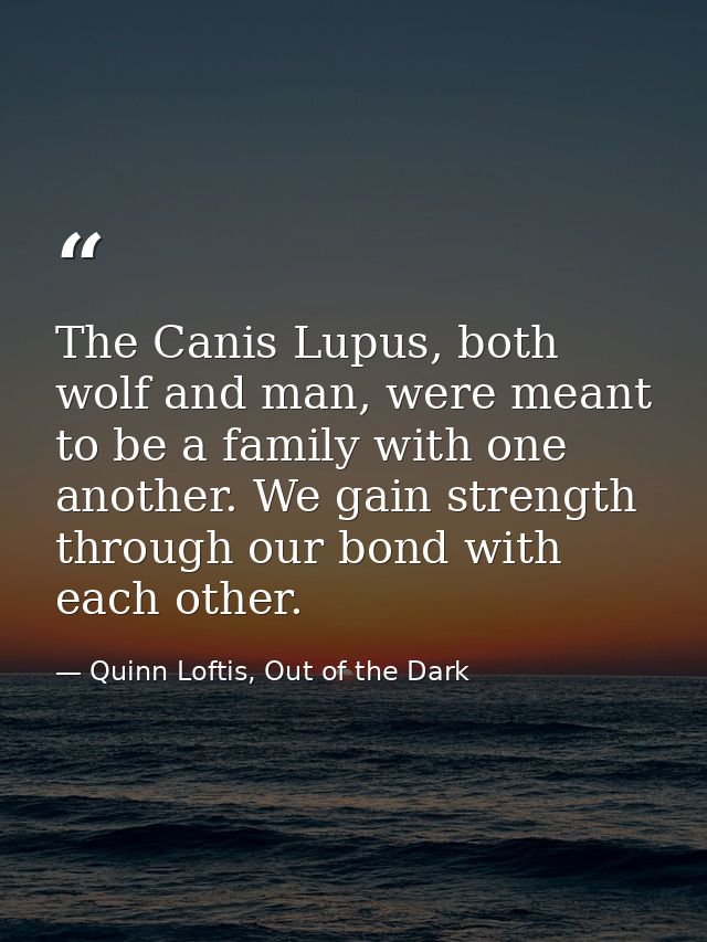 The Canis Lupus, both wolf and man, were meant to be a family with one another. We gain strength through our bond with e — Quinn Loftis, Out of the Dark