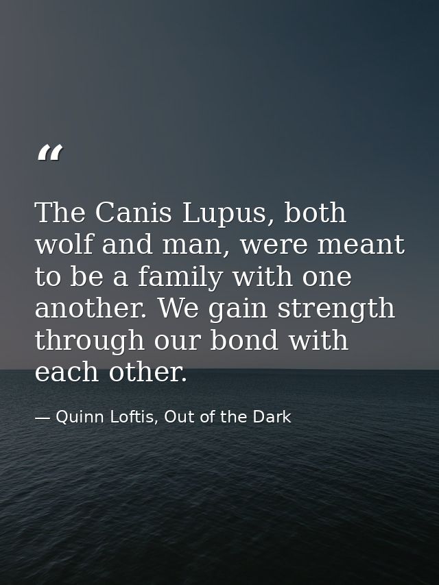 The Canis Lupus, both wolf and man, were meant to be a family with one another. We gain strength through our bond with e — Quinn Loftis, Out of the Dark