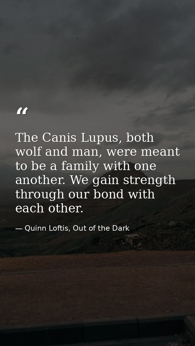 The Canis Lupus, both wolf and man, were meant to be a family with one another. We gain strength through our bond with e — Quinn Loftis, Out of the Dark