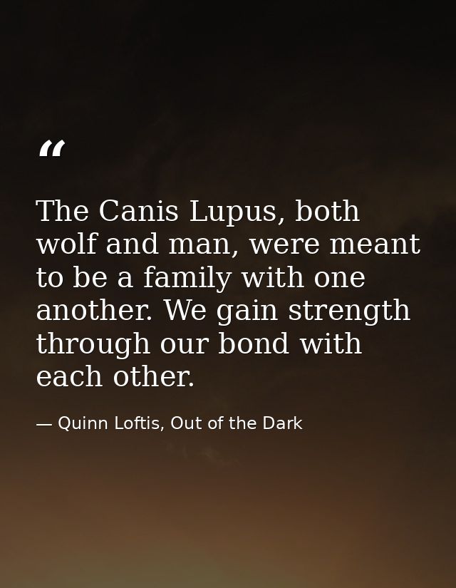 The Canis Lupus, both wolf and man, were meant to be a family with one another. We gain strength through our bond with e — Quinn Loftis, Out of the Dark