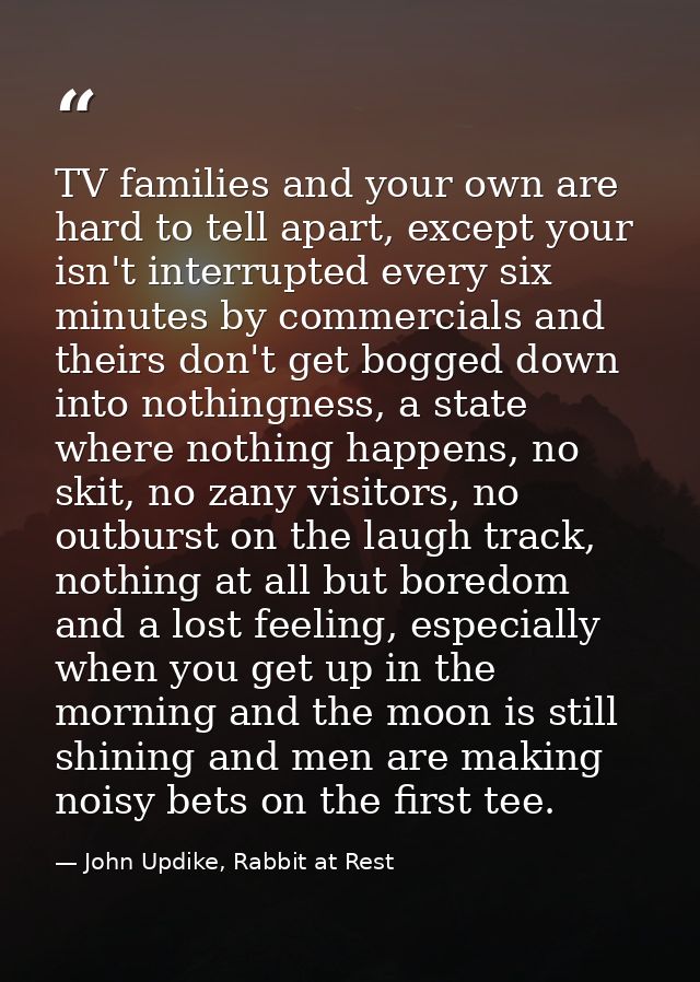 TV families and your own are hard to tell apart, except your isn't interrupted every six minutes by commercials and thei — John Updike, Rabbit at Rest