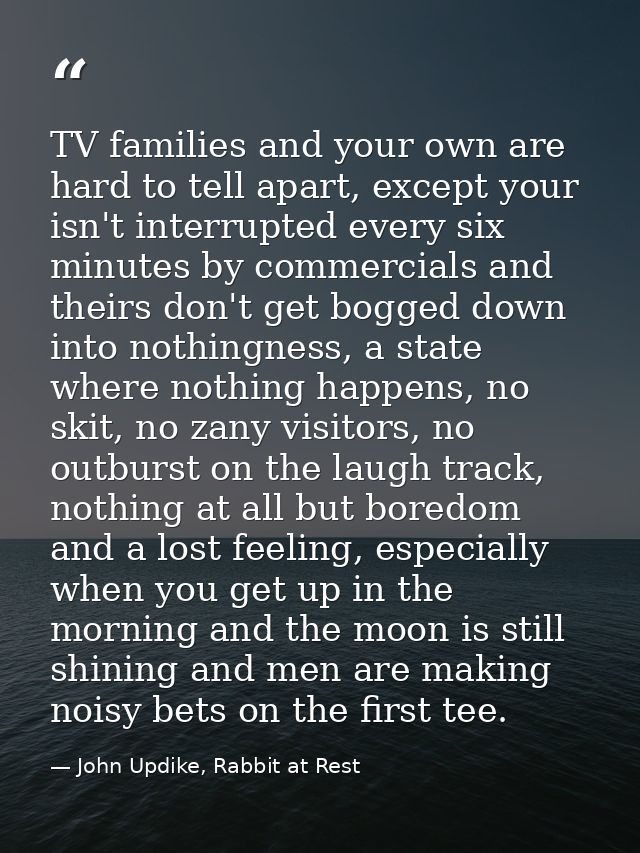 TV families and your own are hard to tell apart, except your isn't interrupted every six minutes by commercials and thei — John Updike, Rabbit at Rest