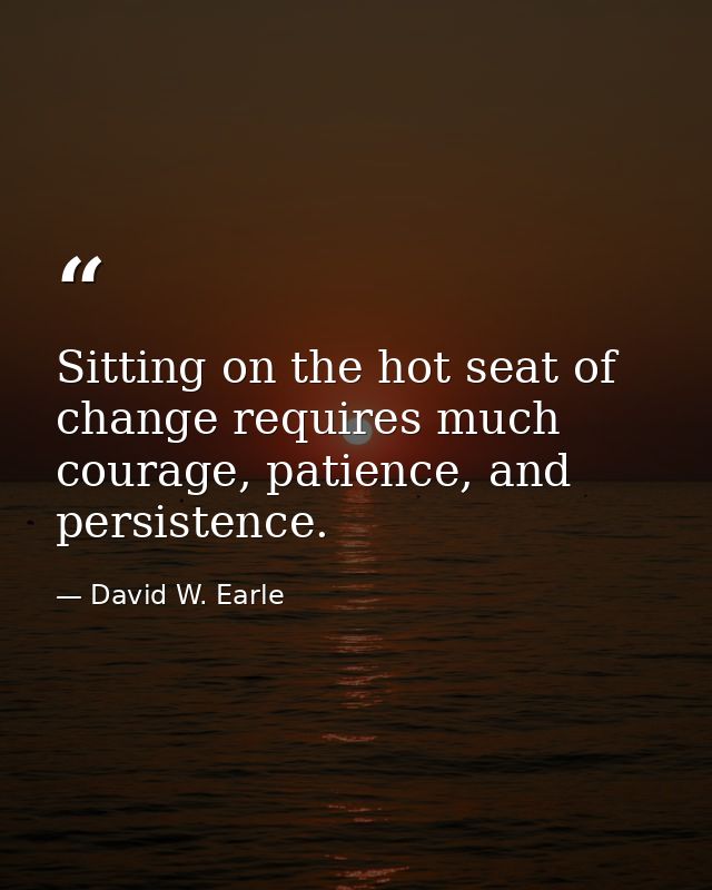 Sitting on the hot seat of change requires much courage, patience, and persistence. — David W. Earle
