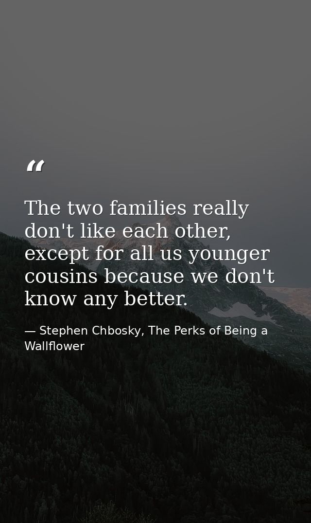 The two families really don't like each other, except for all us younger cousins because we don't know any better. — Stephen Chbosky, The Perks of Being a Wallflower