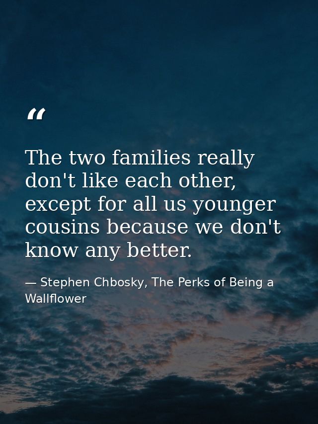 The two families really don't like each other, except for all us younger cousins because we don't know any better. — Stephen Chbosky, The Perks of Being a Wallflower