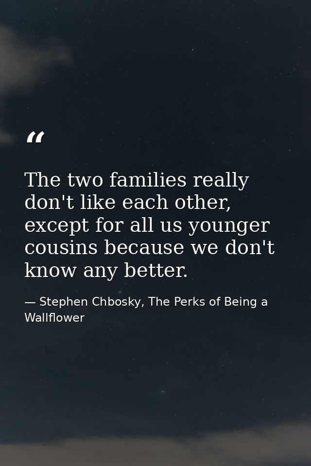 The two families really don't like each other, except for all us younger cousins because we don't know any better. — Stephen Chbosky, The Perks of Being a Wallflower