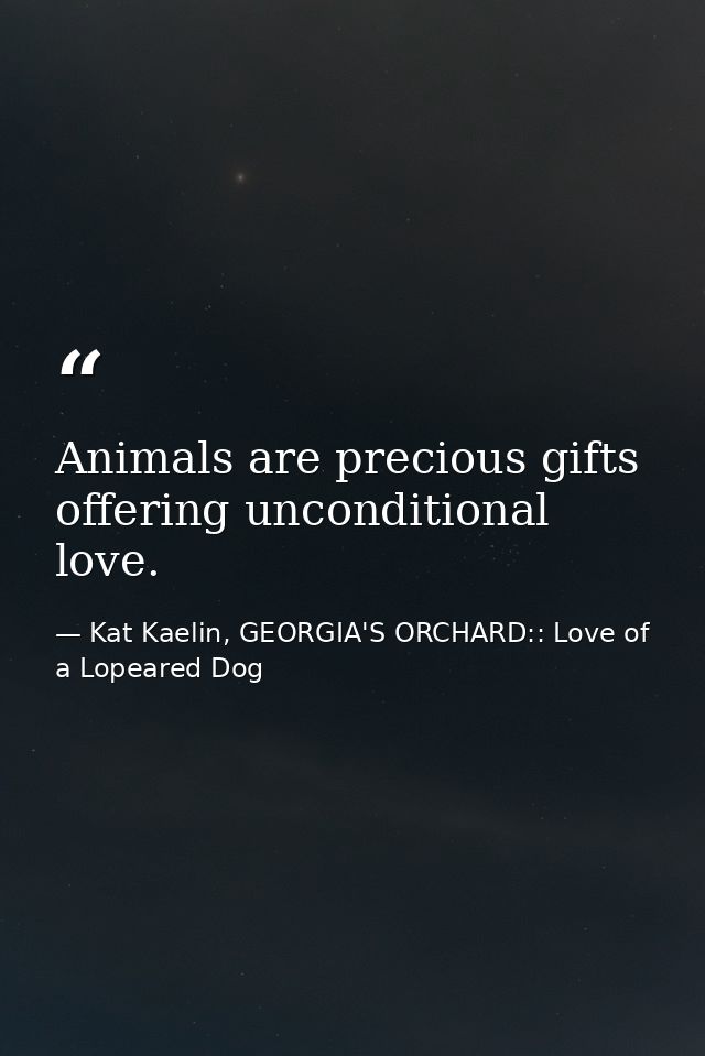 Animals are precious gifts offering unconditional love. — Kat Kaelin, GEORGIA'S ORCHARD:: Love of a Lopeared Dog